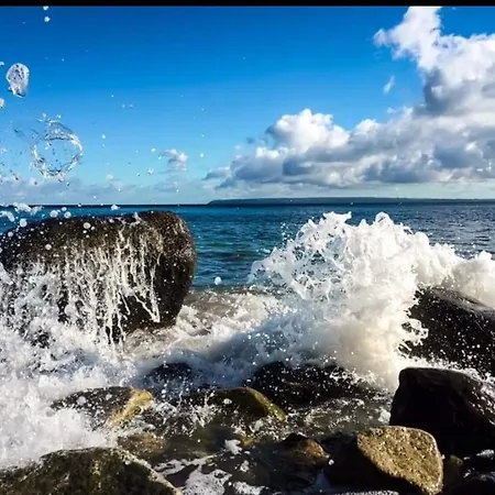 Ferienapartment Wiese & Auf Ruegen * Neddesitz