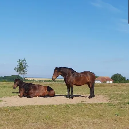 Ferienapartment Wiese & Auf Ruegen Appartement *