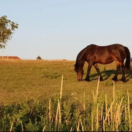 Ferienapartment Wiese & Auf Ruegen Appartement *